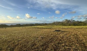 56-135 PUALANI Rd, Hawi, HI 96719