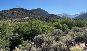 1220 SETTLER'S Way, Dyer, NV 89010