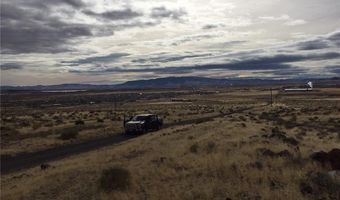 95 Acres In Silver Spgs, Goldfield, NV 89429