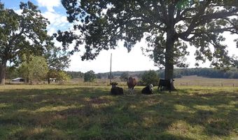 000 County Road 113, Alton, MO 65606