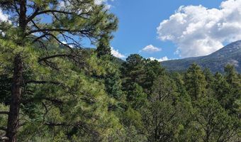 Robertos Lane, Arroyo Seco, NM 87514