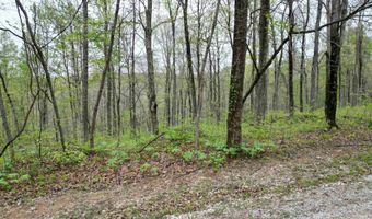 Tract 5 E Pine Road Common, Bloomfield, IN 47424