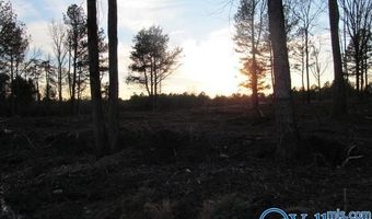 15 Hogs Ln, Albertville, AL 35951