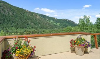250 Mountain Laurel Dr B, Aspen, CO 81611