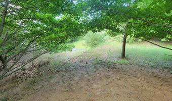 Maxey Road unit 7.2 Acres 7.2 Acres, Arcadia, MI 49613