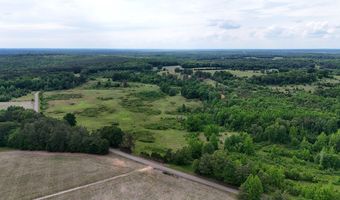 Beauty Hill Rd lot 2, Bethel Springs, TN 38315