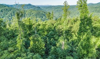 H and H Trail, Bat Cave, NC 28710
