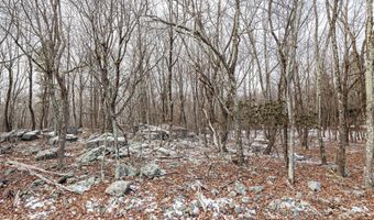 Blairwood Lane lot 325, Albrightsville, PA 18210