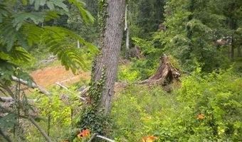 12 Weaver Hill Rd 4, Asheville, NC 28805