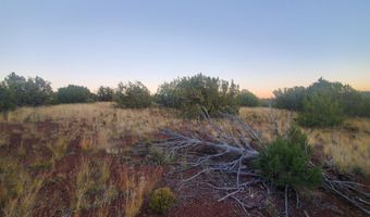 1 COUNTY ROAD N8155, Concho, AZ 85924