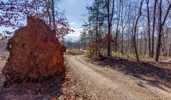 170 Sperin Cabinet Rd, Ball Ground, GA 30107