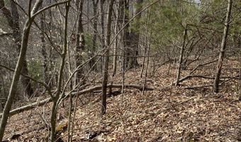 161 Daniels Rd Lot 0, Bandy, VA 24602