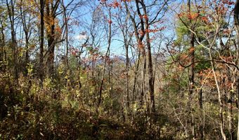 595 Rock Creek Ridge Rd, Bakersville, NC 28705