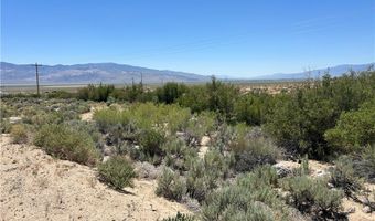360 MOUNTAIN CREEK Rd, Dyer, NV 89010