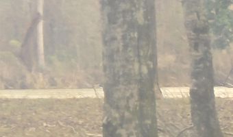 CYPRESS POINT DRIVE lot 12, Akron, AL 36776