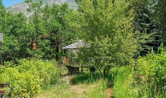 813 W Smuggler St, Aspen, CO 81611