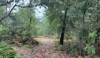 4539 NW Miller/White LN Rd, Altha, FL 32421