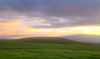 67-1148 WAINOENOE Rd, Kamuela, HI 96743