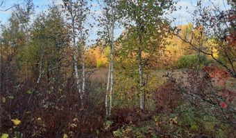 31538 County 23, Akeley, MN 56433