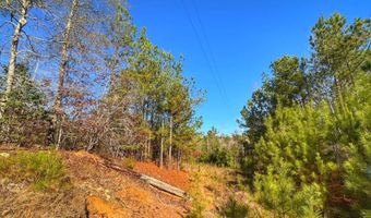 0 County Road 25, Reform, AL 35481