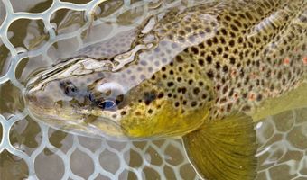 Riverway Road lot 15 A Tbd, Belgrade, MT 59714