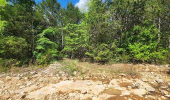 Strawberry Valley Road, Ash Flat, AR 72513