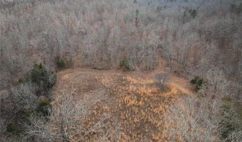 760 County Road 203, Annapolis, MO 63620