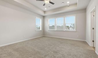8820 Shipton Cir, Ball Ground, GA 30107