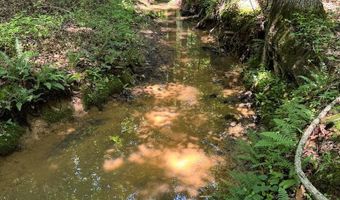 Cr 244, Abbeville, MS 38601