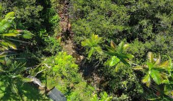 29-2612 KAIWIKI HOMESTEAD Rd, Hakalau, HI 96710