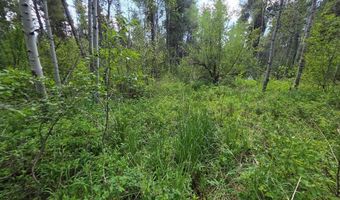 4585 E 1400 N, Ashton, ID 83420
