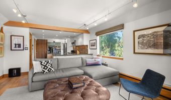 1221 Vine St 1221, Aspen, CO 81611