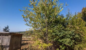 18180 Us 160, Alton, MO 65606