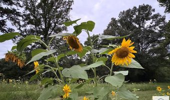 1421 Oak Level Rd, Bassett, VA 24055