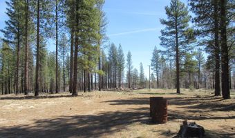 56236 Parazoo Trl, Bly, OR 97622