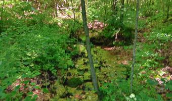 65 Acres Plainview Rd, Anderson, MO 64831