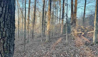 00007 SPRINGHOLLOW Rd Lot 7, Ashville, AL 35953