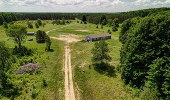 303 Westwood Rd NW, Alden, MI 49612