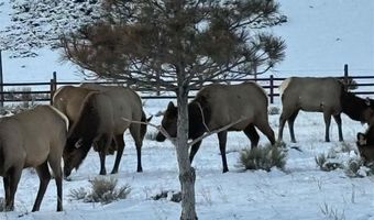2433 Southfork Rd, Cody, WY 82414