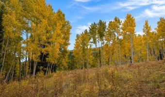 12490 E OLD STAGE Rd, Brighton, UT 84121