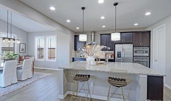 16021 Williams Pl, Broomfield, CO 80023