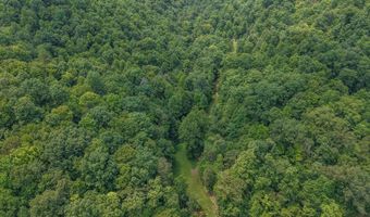 50 Hg Williams Dr, Bays, KY 41310
