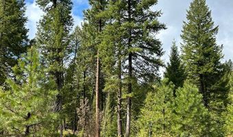 27 Sawtooth Loop Lot 23, Cascade, ID 83611