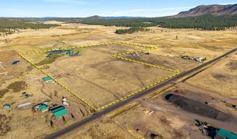 216 CR 2311, Alpine, AZ 85920