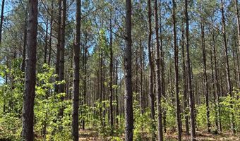 000 Bounty Acres Rd W, Bennettsville, SC 29512