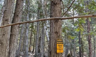 1770 Piper Creek Rd, Bigfork, MT 59911