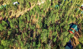 20 Co Rd 2067, Alpine, AZ 85920