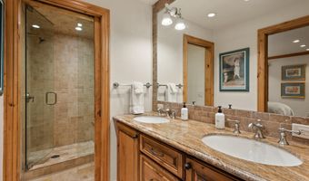 610 S West End St D203, Aspen, CO 81611