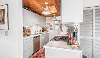 1227 Mountain View Dr Units 1 & 2, Aspen, CO 81611