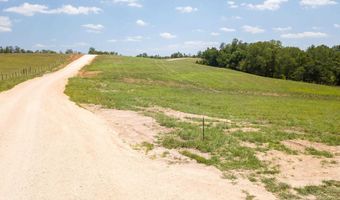 17-93 STEWMAN CREEK LANDING Rd Lot 17-93, Bath Springs, TN 38311